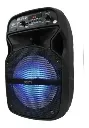 CABINA PARLANTE RECARGABLE 6.5 PULGADAS LUCES LED NX-Y7.....webp