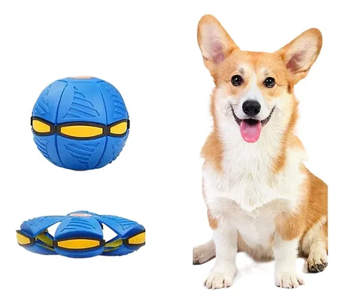 [CED-MAS-818] Magic Ball Para Perros Mágica